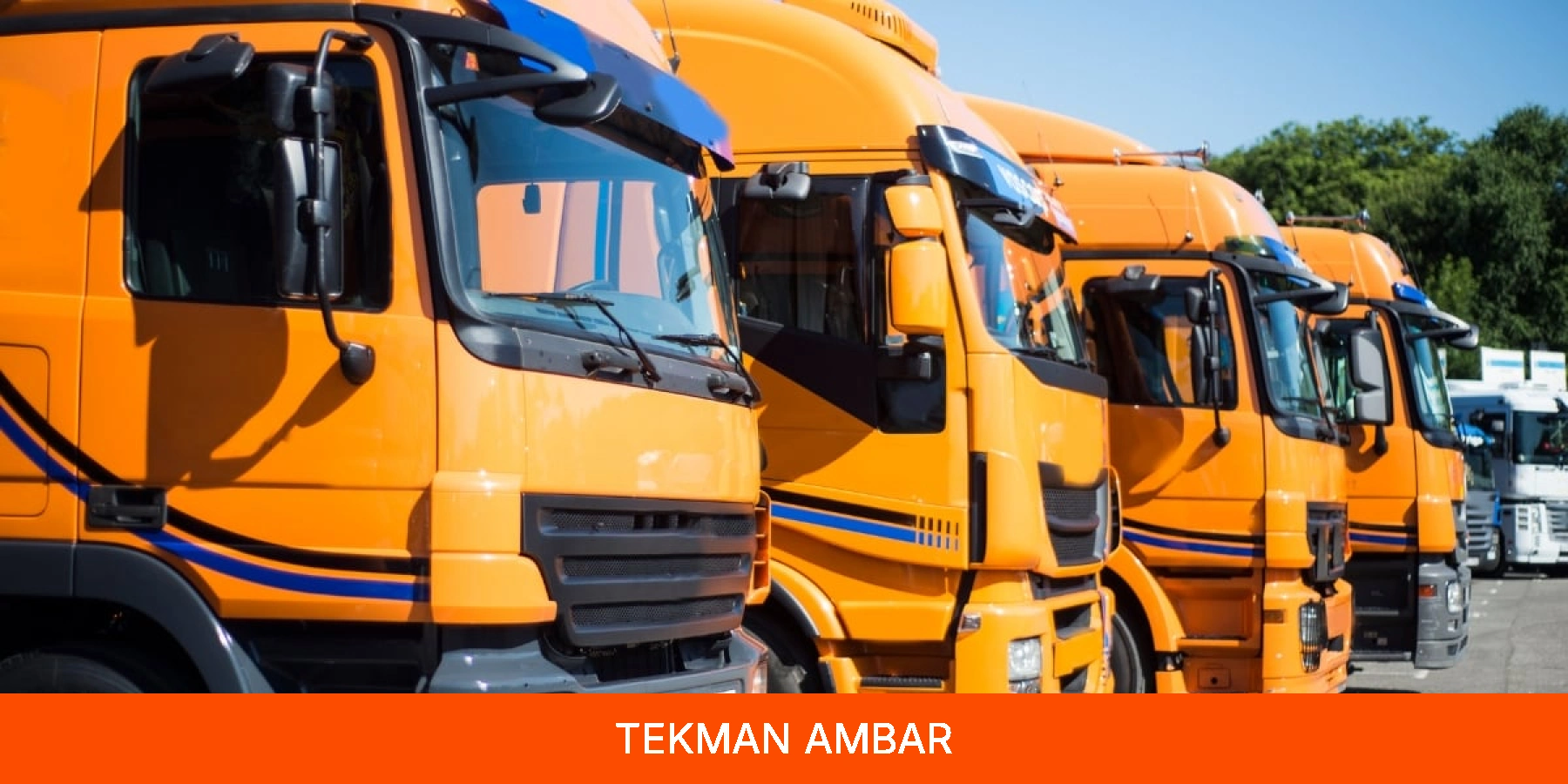 Tekman Ambar