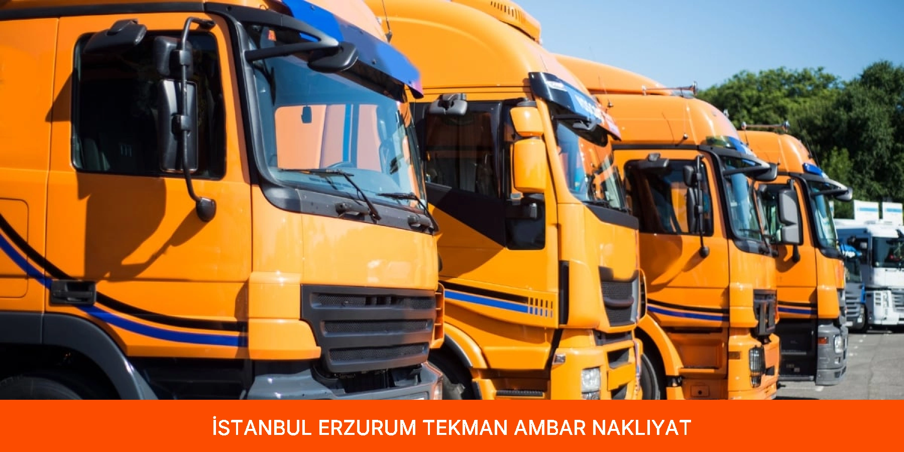 Tekman Ambar