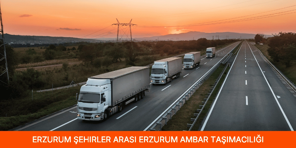 Şehirler Arası Erzurum Ambar Taşımacılığı